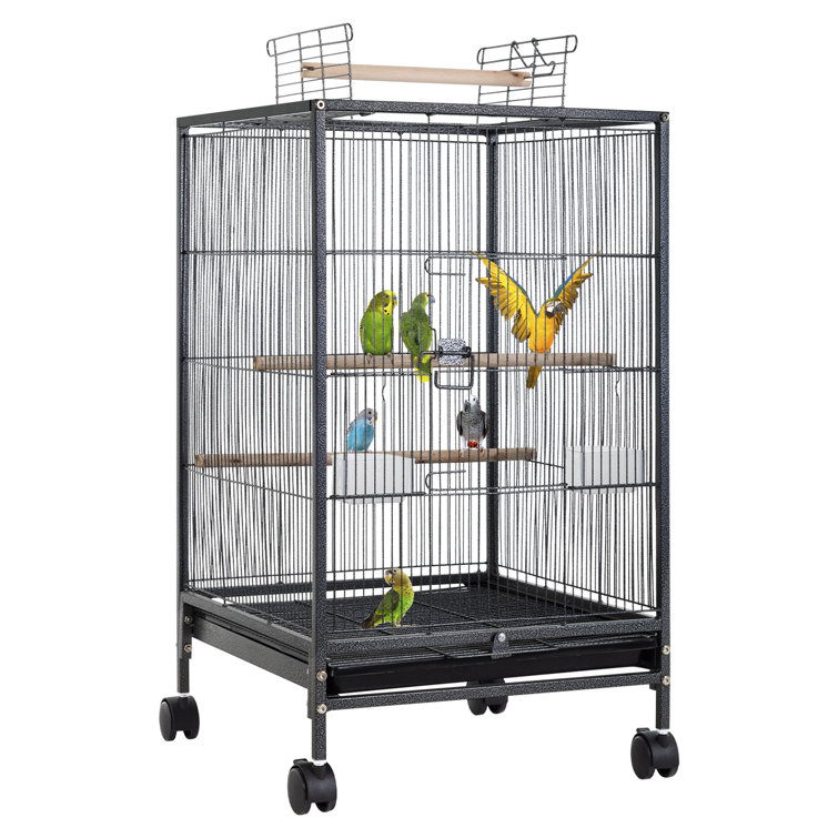 Wrought iron bird cages online for sale